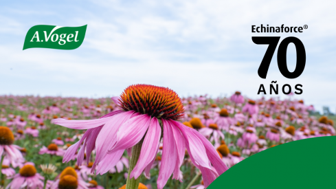 Echinaforce® celebra su 70 aniversario