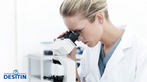 Desitin refuerza su presencia en España con la apertura oficial de su filial en Madrid y el inicio de actividades comerciales