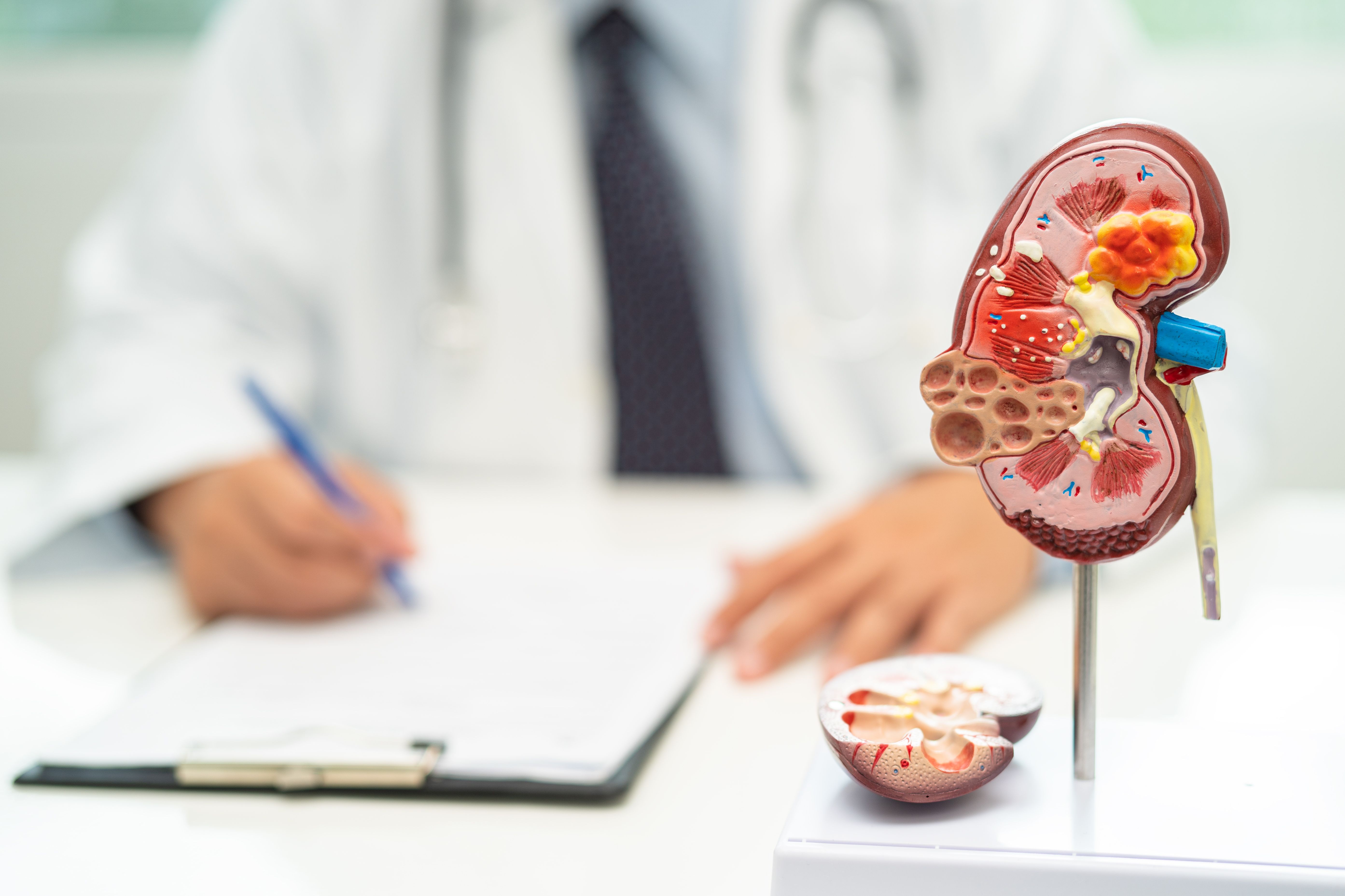 El Estudio CRIERFAC confirma la eficacia de la farmacia comunitaria en la detección precoz de la enfermedad renal crónica