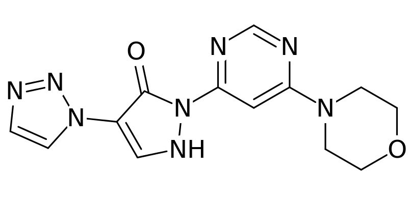 Molidustat, novedad frente a la anemia