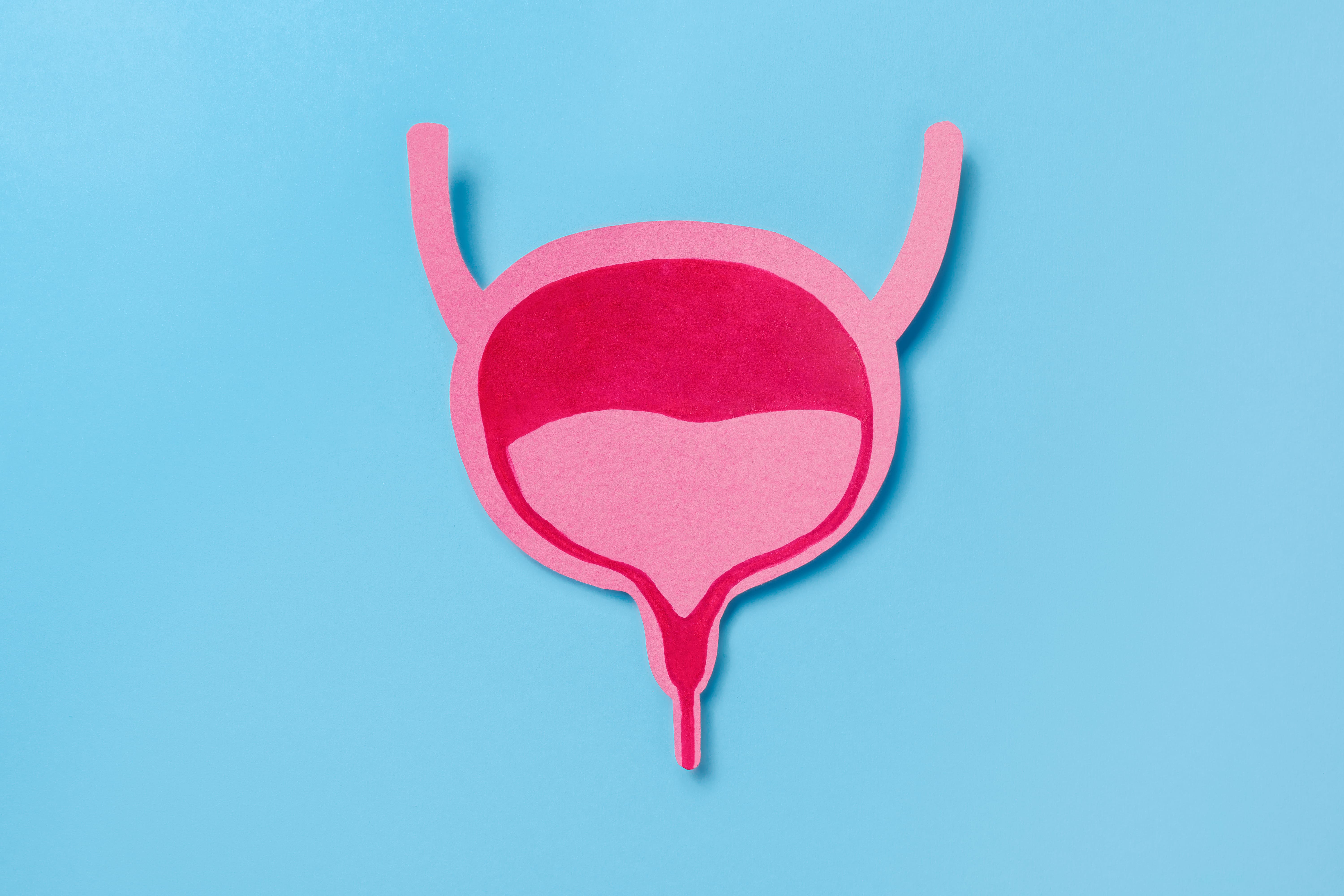 MSD recibe opinión positiva del CHMP para KEYTRUDA® en combinación con Padcev® en cáncer de vejiga músculo-invasivo