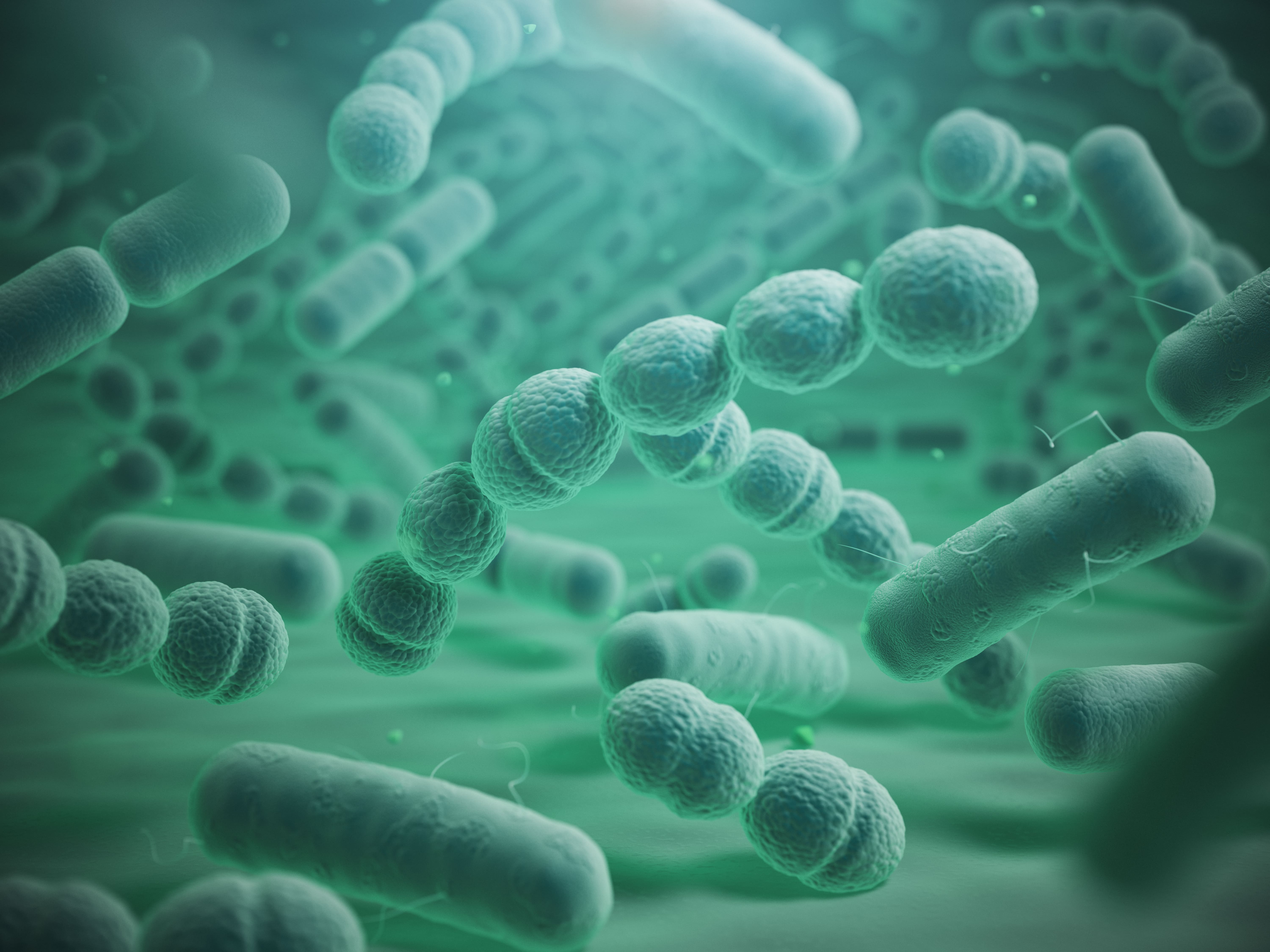Laboratorios Ordesa impulsa la investigación del microbioma como clave en la nutrición infantil y el desarrollo inmunitario
