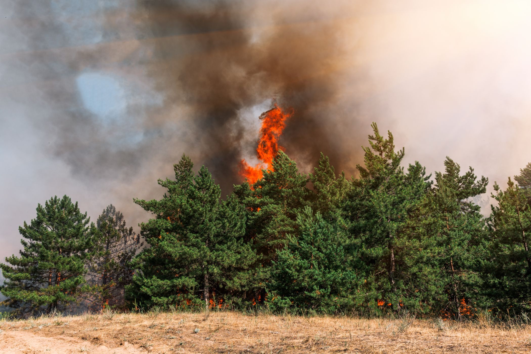 El humo de los incendios forestales es un riesgo para la salud que muchas veces pasa desapercibido
