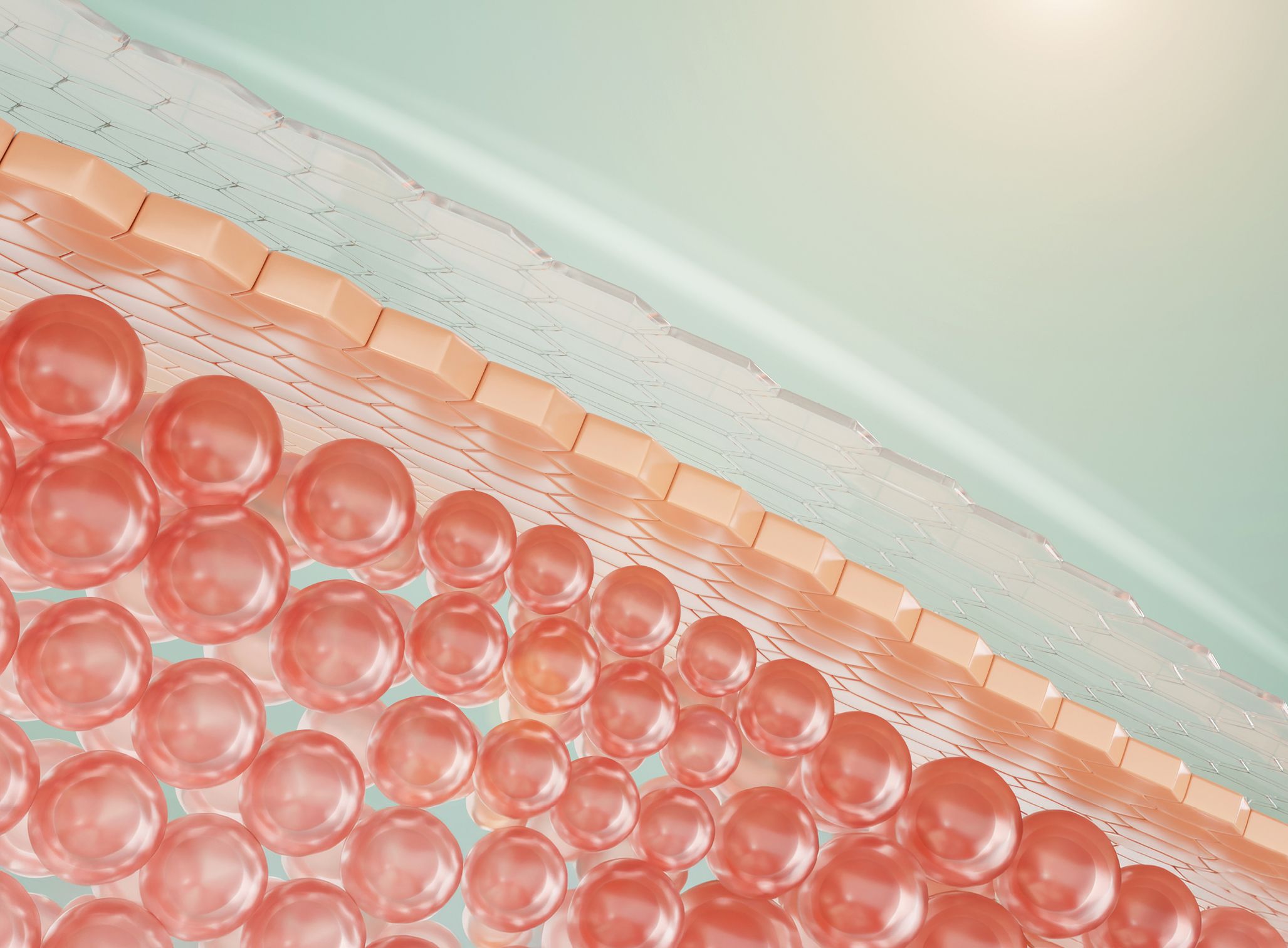 La nueva era del cuidado de la piel: Microbiota cutánea, función barrera y activos inteligentes La nueva era del cuidado de la piel: Microbiota cutánea, función barrera y activos inteligentes