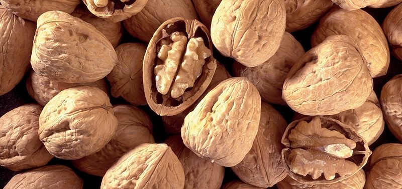 El papel de los ácidos grasos omega-3 en las diferentes etapas de la vida en población sana