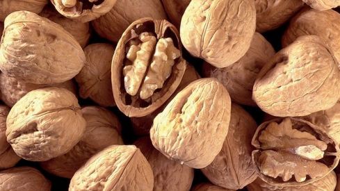 El papel de los ácidos grasos omega-3 en las diferentes etapas de la vida en población sana