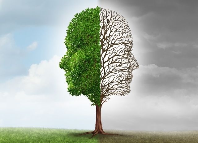 Paciente con trastorno bipolar y esquizofrenia