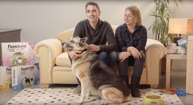 Frontline® Tri-Act patrocina el proyecto ‘Grandes perros para grandes personas’