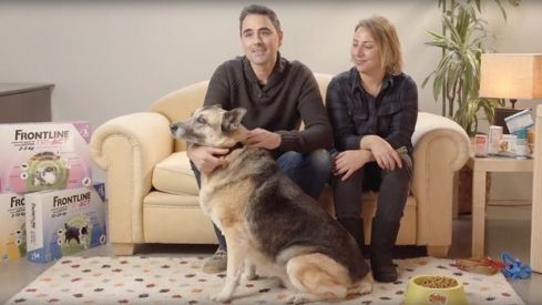 Frontline® Tri-Act patrocina el proyecto ‘Grandes perros para grandes personas’