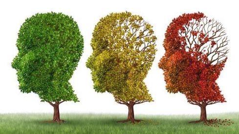 La profesión farmacéutica se suma a la celebración del Día Mundial del Alzheimer