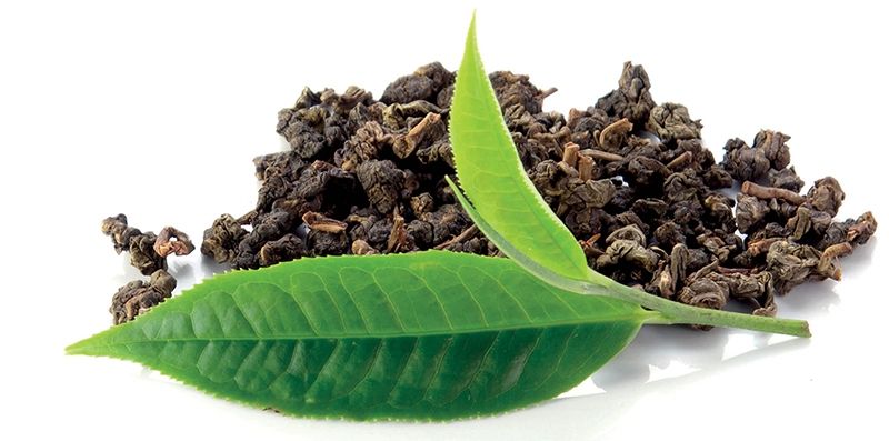 Estado actual de la investigación de productos naturales