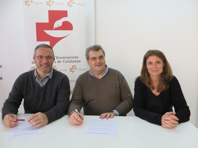 FEFAC y la ONG Banco Farmacéutico renuevan su acuerdo de colaboración