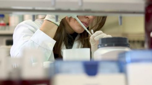 Estable, cualificado y femenino, características del empleo en la industria farmacéutica innovadora