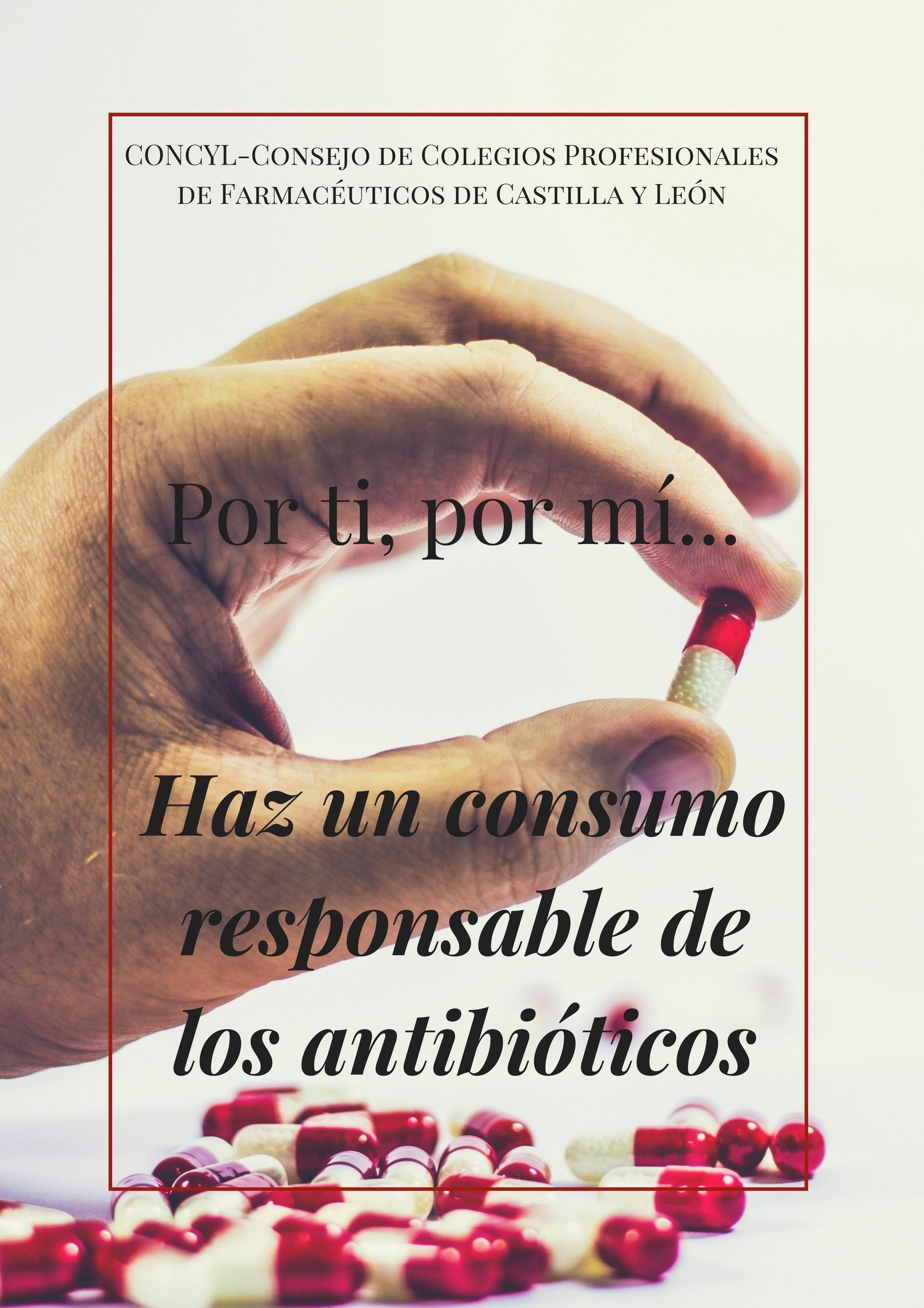 Los farmacéuticos de Castilla y León piden a la población un consumo responsable de los antibióticos