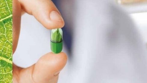 Los farmacéuticos defienden que las plantas medicinales tienen evidencia científica contrastada para su uso terapéutico