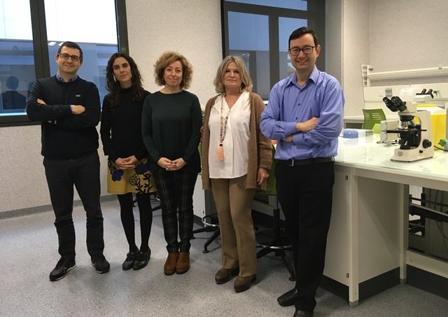 Diseñan dos algoritmos matemáticos para mejorar la detección precoz del deterioro cognitivo en las farmacias