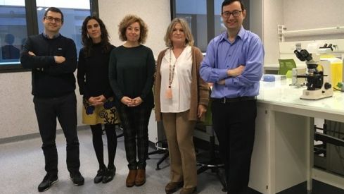 Diseñan dos algoritmos matemáticos para mejorar la detección precoz del deterioro cognitivo en las farmacias