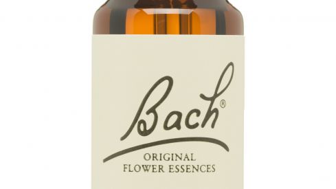 Las 38 Flores de Bach en la complicada cuesta emocional de principio de año