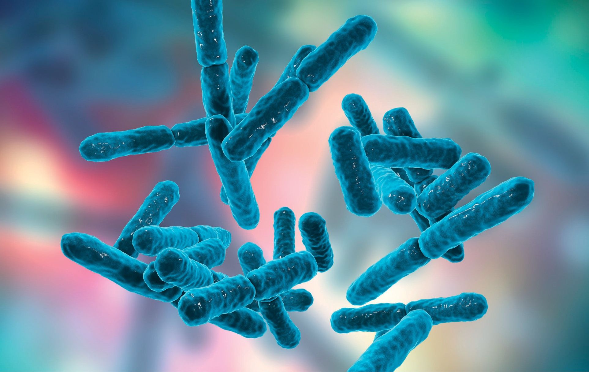 Microbiota y enfermedades inflamatorias intestinales: Crohn y colitis ulcerosa