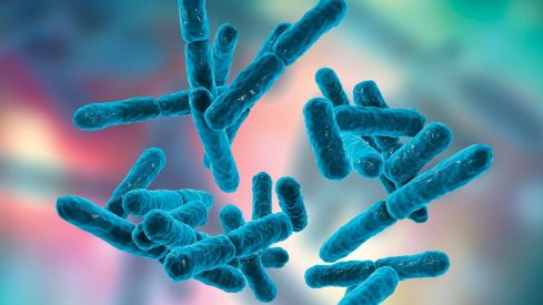 Microbiota y enfermedades inflamatorias intestinales: Crohn y colitis ulcerosa