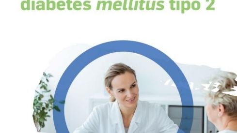 Profesionales sanitarios y pacientes presentan una guía de atención al paciente con diabetes mellitus tipo 2
