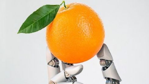 La Jornada Nacional de Alimentación 2020 apuesta por la ciencia