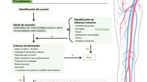 El Consejo General de Farmacéuticos promueve los estándares de calidad en la dispensación de plantas medicinales