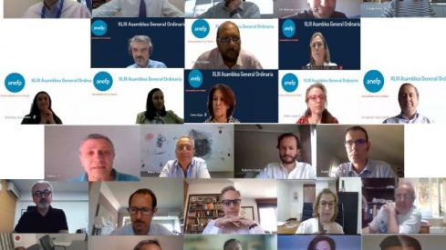 anefp renueva su Consejo Directivo