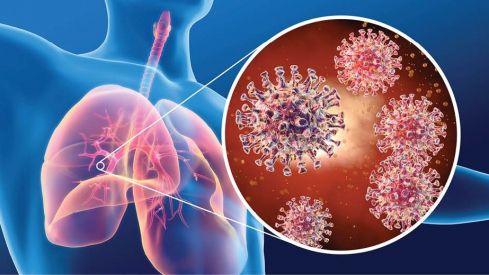 Por qué el triglicérido de DHA omega-3 con vitaminas y minerales puede contribuir al funcionamiento normal del sistema inmunitario en un entorno vírico epidémico