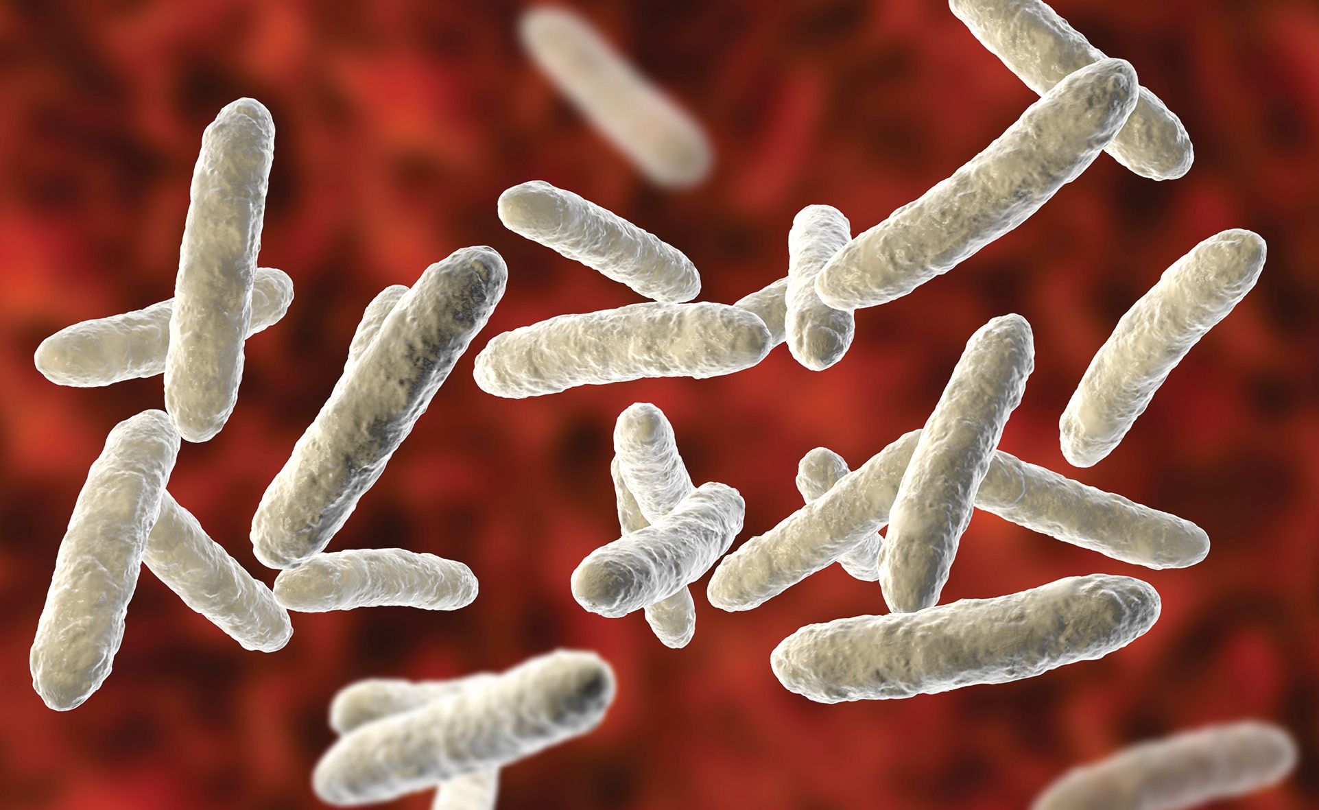 Importancia de la microbiota para la salud
