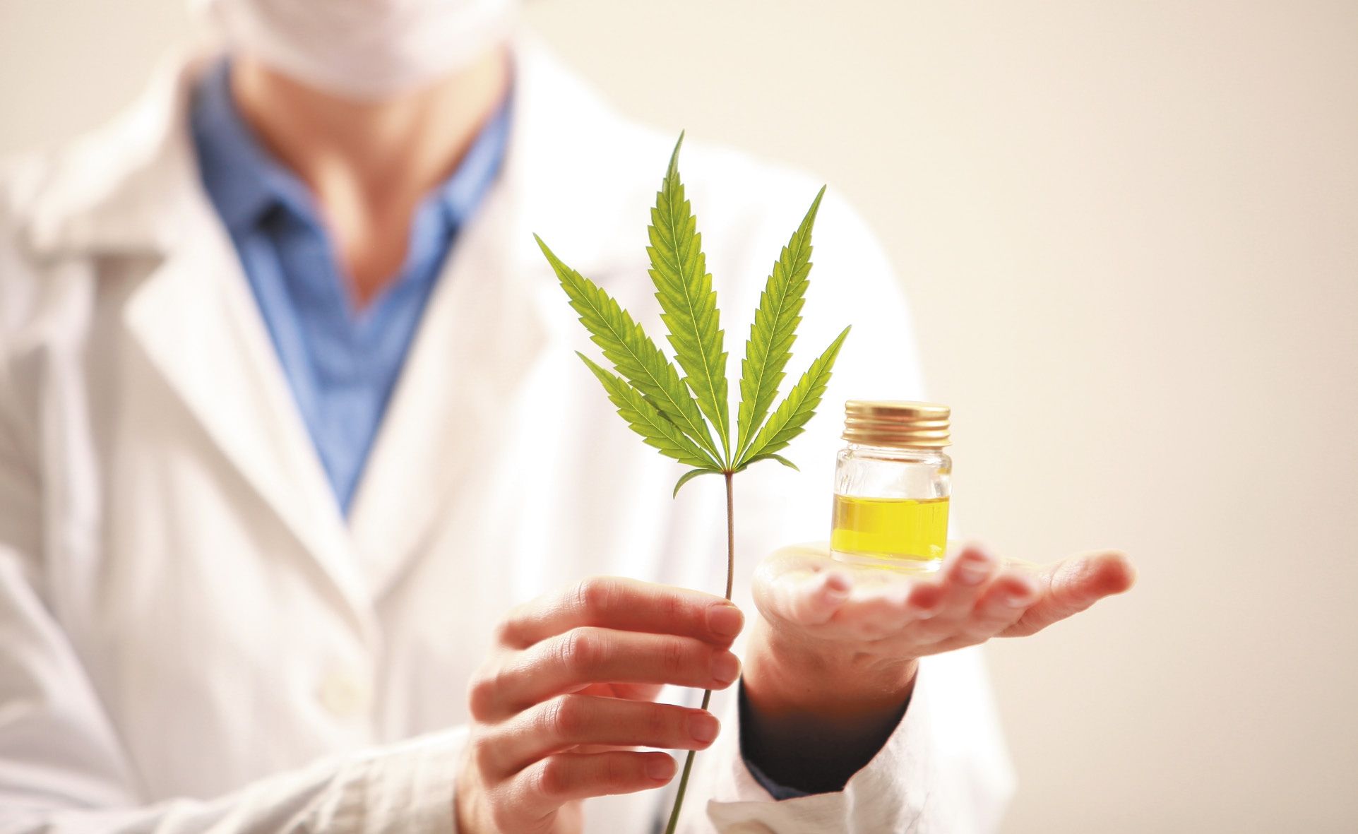 Cannabis: ¿de dónde venimos?