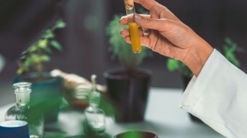 La Asamblea Nacional de Homeopatía organiza las jornadas “Homeopatía y Comunicación Científica”