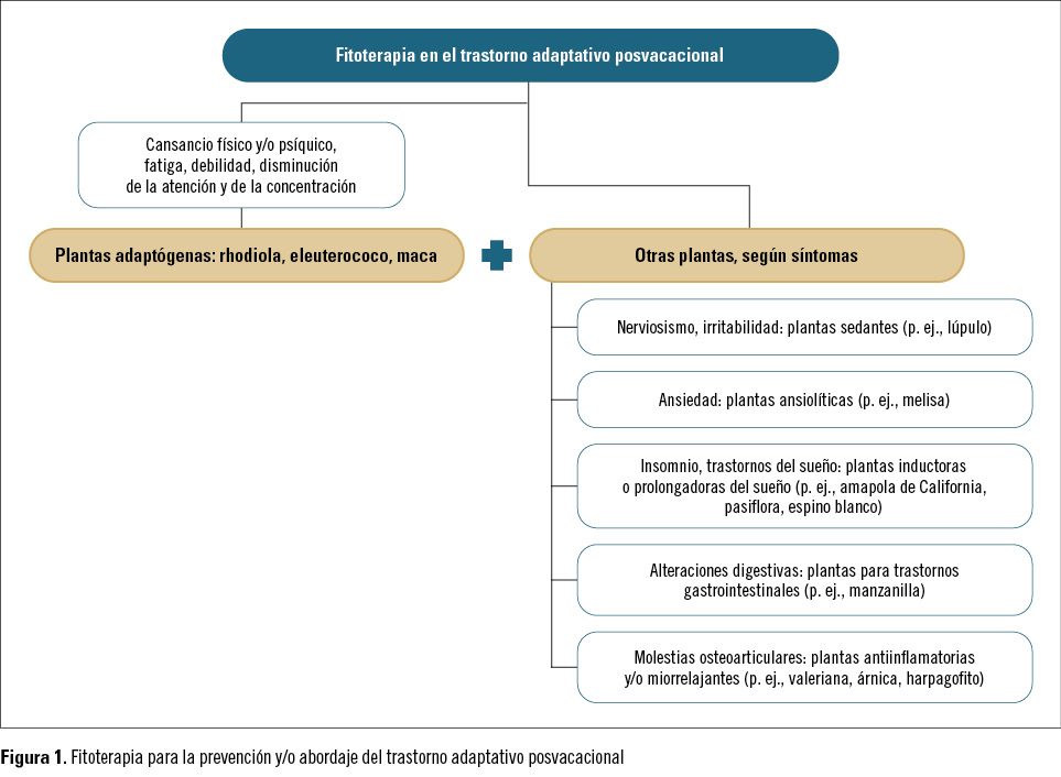 17 EF591 PROFESION tras el solaz de las vacaciones 3