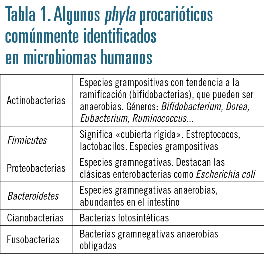 18 EF593 PROFESION importancia de la microbiota tabla01