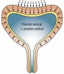 curso474fig3