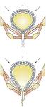 curso474fig4